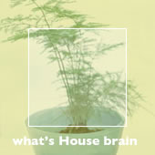 What,s HOUSE BRAIN